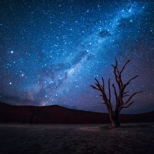 Milky Way above Deadvlei, Namibia